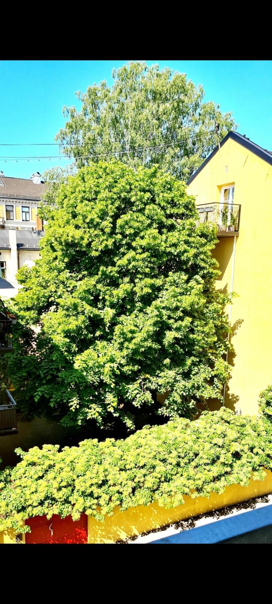 Modern Central Apartment Next To Beautiful Nature2424 Oslo Exterior photo
